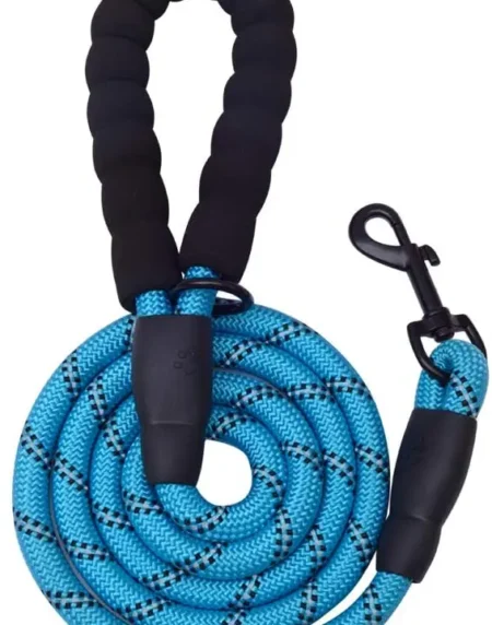 5 FT Thick Highly Reflective Dog Leash- Blue