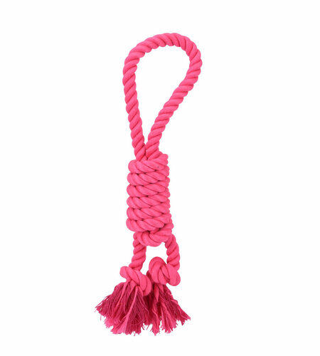 Dog toy Hearts & Homies