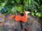 Soft toy-pillow "Fox"